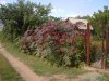 PICT0794.JPG