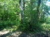 IMG_20150624_101942.jpg