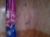 IMG_20150611_065752.jpg