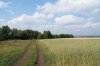 DSC00809.JPG