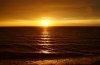 DSC00979.JPG