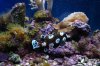 DSC01496.JPG