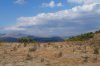 DSC01747.JPG