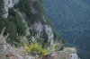DSC01883.JPG