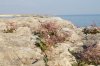 DSC02428.JPG