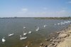 DSC02537.JPG