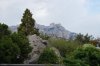 DSC03608.JPG