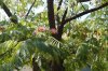 DSC03759.JPG