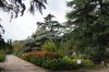 DSC03827.JPG
