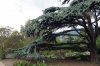 DSC03831.JPG
