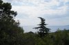 DSC03869.JPG