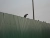 DSCN0195.JPG