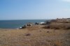 DSC04422.JPG