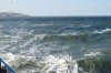 DSC04871.JPG