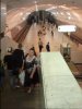 IMG_3586_2013-09-04 18.19.16.jpg