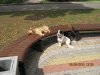 IMG_4043.jpg