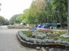 IMG_3910.jpg
