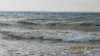 IMG_4206.jpg
