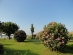 Снимок экрана 2015-08-02 в 12.25.57.png
