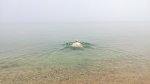 IMG_20160712_081848.jpg