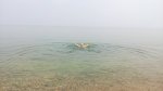 IMG_20160712_081854.jpg