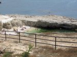 IMG_1235.JPG