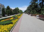 IMG_1699.JPG