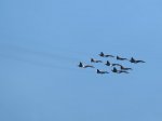 IMG_1523.JPG