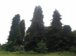 DSCN6762.JPG