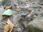 DSCN6807.JPG