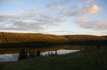IMG_7691.jpg