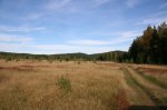 IMG_7724.jpg