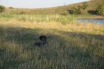 DSC09307.JPG