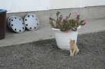DSC09315.JPG