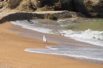 DSC09357.JPG