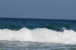 DSC09366.JPG