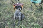 DSC09306.JPG