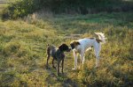 DSC09314.JPG