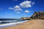 DSC09418.JPG