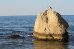 DSC09446.JPG