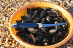DSC09447.JPG