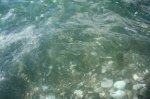DSC09739.JPG