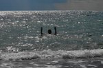 DSC09761.JPG