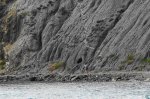 DSC09766.JPG