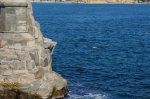 DSC09828.JPG