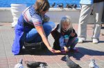 DSC09943.JPG