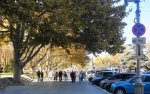 DSC09962.JPG