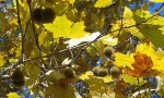 20160924_132225.jpg