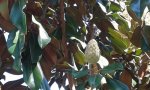 20160924_131845.jpg