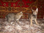 DSCN7823.JPG